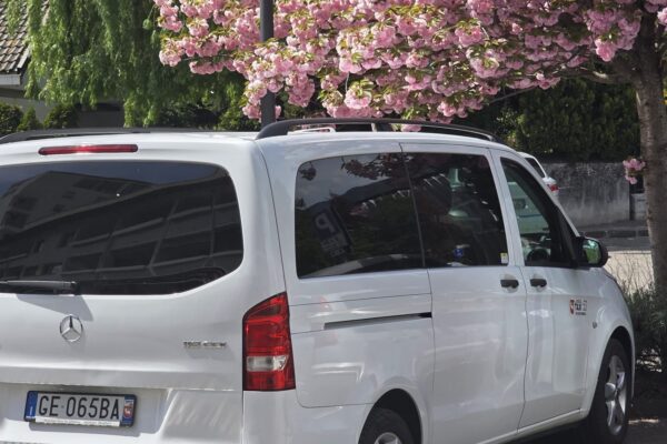 Mercedes-Benz Vito (W447)