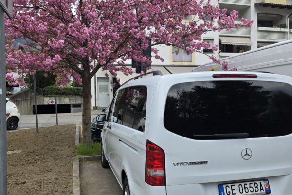 Mercedes-Benz Vito (W447)